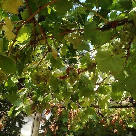 Affittacamere Il Seminario